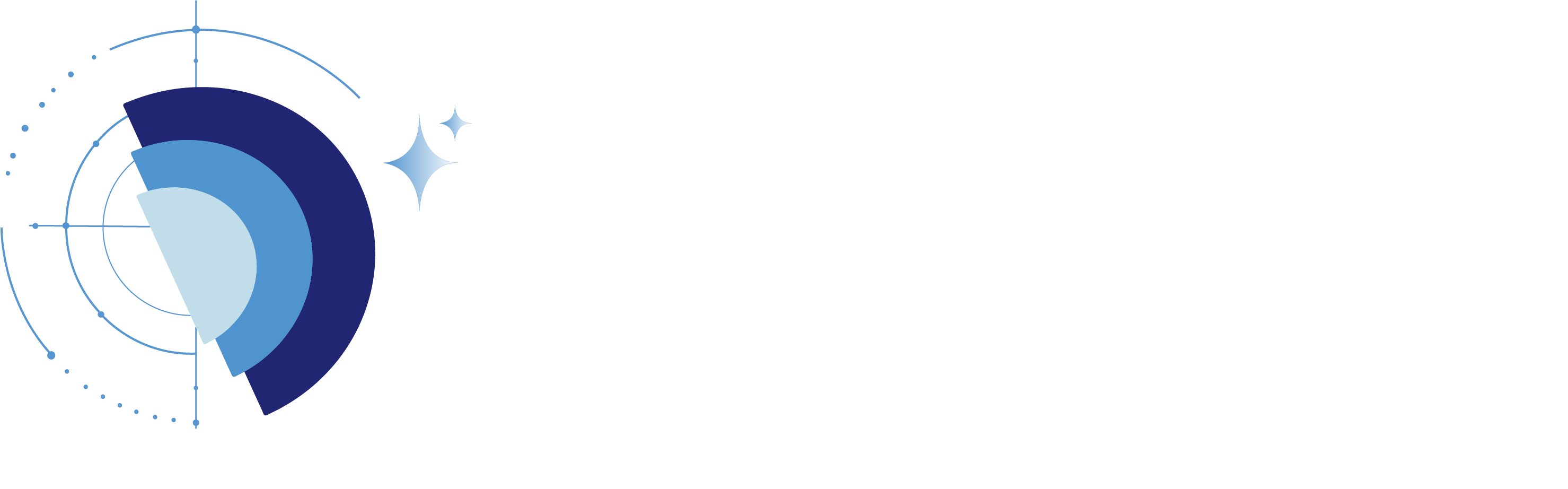 AI Compass by DIS